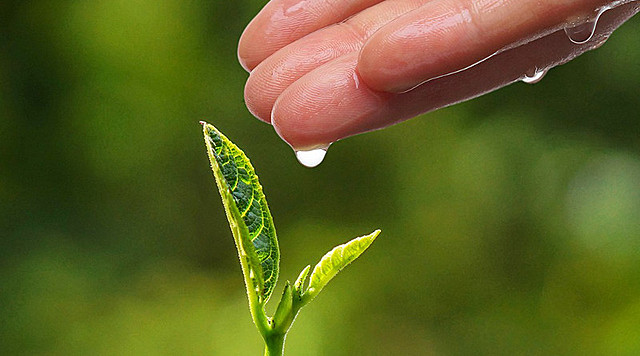 Filosofía de la Naturaleza
