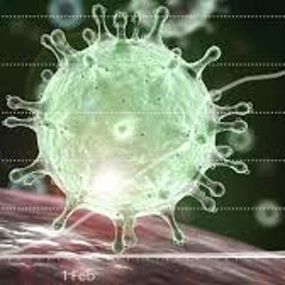 Timeline: CORONAVIRUS DENTRO DEL CUERPO HUMANO