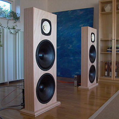 Timeline: linea de vida