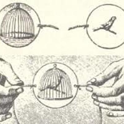 Timeline: Historia de la animación