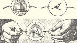 Timeline: Historia de la animación
