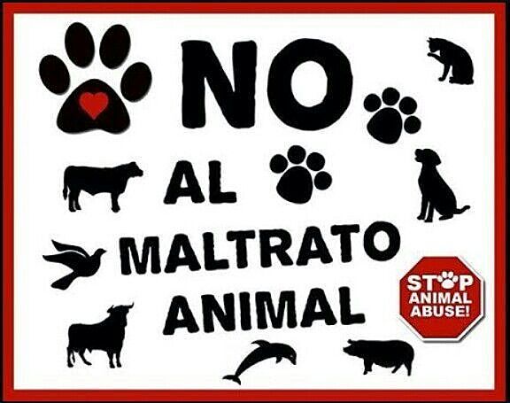 Decreto nacional 497