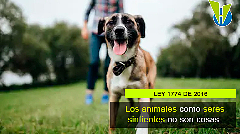 LEY 1774