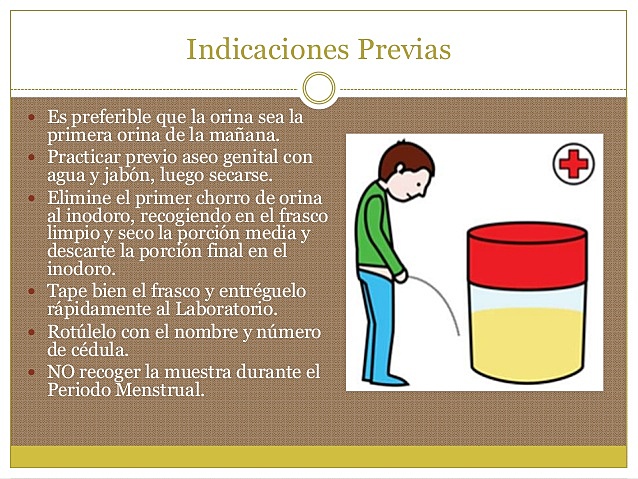 Proceso Analítico de un EGO.