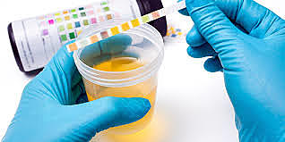 Exposición de las fases analíticas.