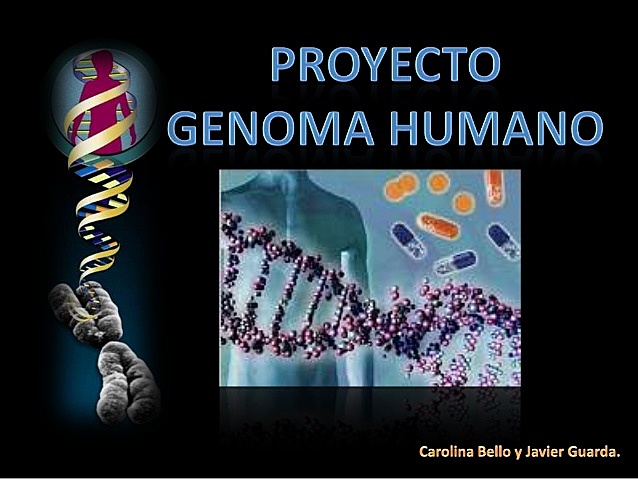 Proyecto genoma humano