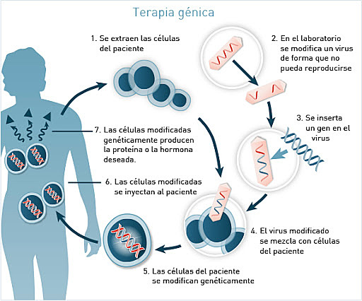 Terapia Génica