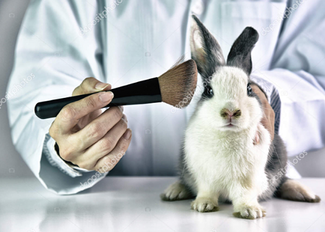 Fomento de investigación