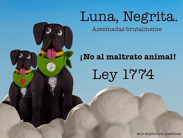 LEY 1174