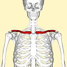 Breaking my collar bone