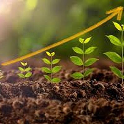 Timeline: Fitohormonas Julen Ancin