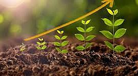 Timeline: Fitohormonas Julen Ancin