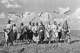 COLECTIVIZACIÓN FORZADA E INSTITUCIÓN DEL GULAG.