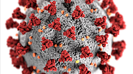 Timeline: Eix cronològic del COVID-19