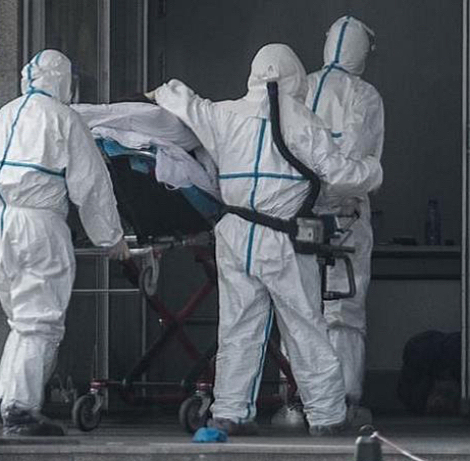 Primer cas a l’Estat espanyol