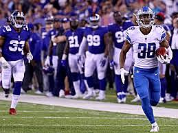 Went to Detroit Lions Game