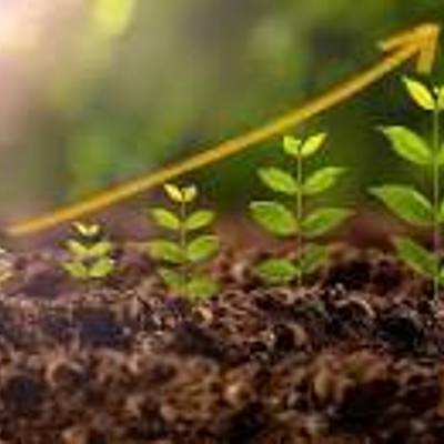 Timeline: Hormonas vegetales