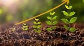 Timeline: Hormonas vegetales