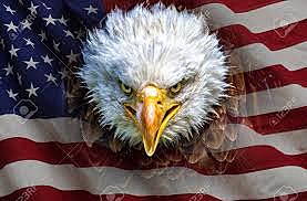 Inicio de la Rev. Americana