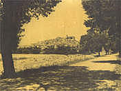 Menor crecimiento económico.