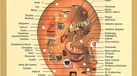 Timeline: HISTORIA DE AURICULOTERAPIA Realizado por leonardo
