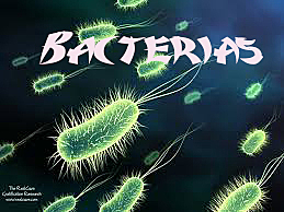 Resolución del Caso Clínico