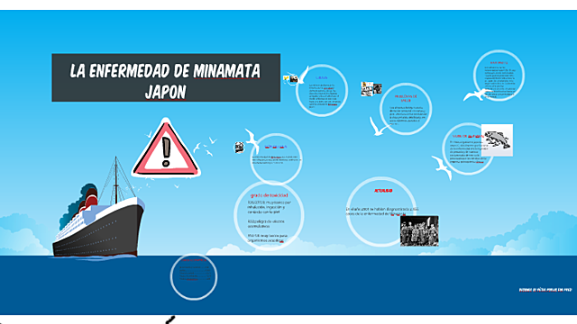 Enfermedad Causada Por El Mercurio