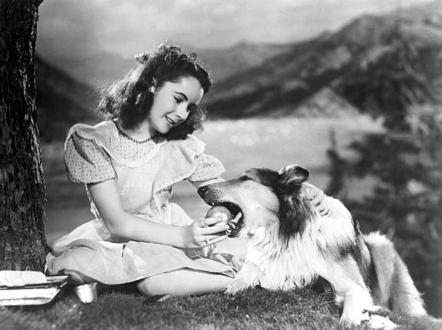 Courage of Lassie