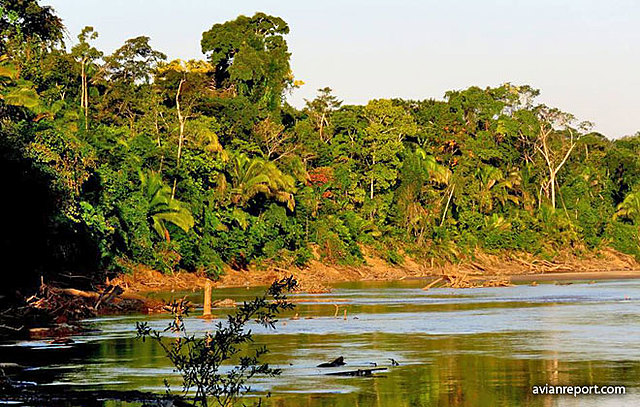 Aparición de tipos de ecosistemas, húmedos,formas de relieve en el paisaje