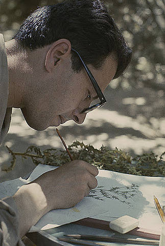 La percepción del paisaje