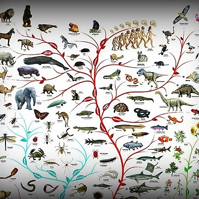 Timeline: Teorías evolutivas de la vida