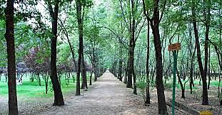 Viveros de Coyoacán