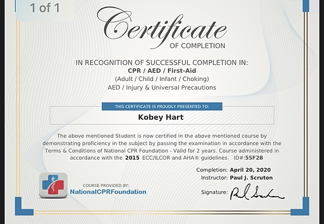 Lifeguard Certification.