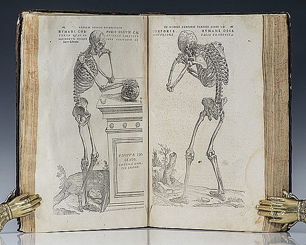 Avances científicos