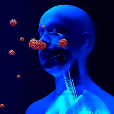 Timeline: El corona-virus dentro del cuerpo humano.