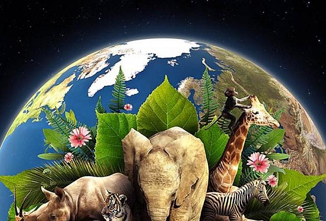 Primer día de la tierra