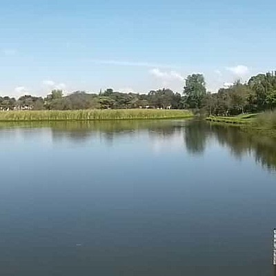 Timeline: PARQUE ECOLÓGICO DISTRITAL HUMEDAL SANTA MARÍA DEL LAGO