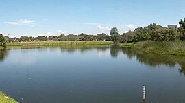 Timeline: PARQUE ECOLÓGICO DISTRITAL HUMEDAL SANTA MARÍA DEL LAGO