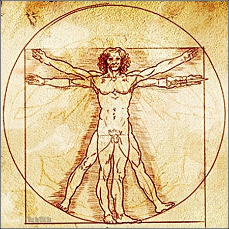 Surgimiento del antropocentrismo