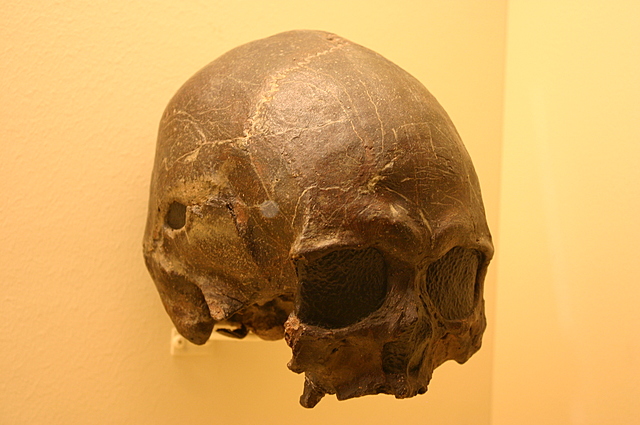 Primeros vestigios de ocupación humana