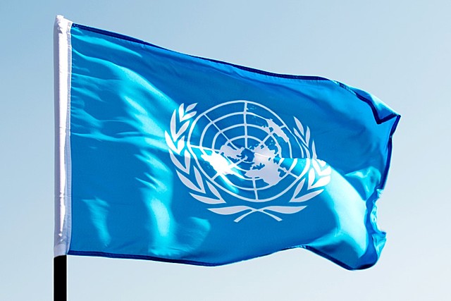United Nations (U.N.)
