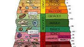 Timeline: Trabajo ByG