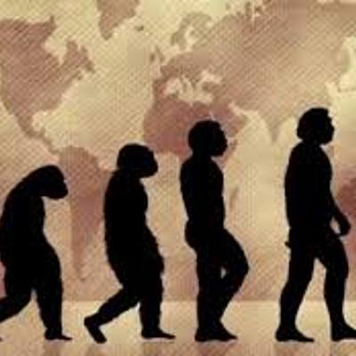 Timeline: TEORIES DE L'EVOULUCIÓ