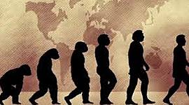 Timeline: TEORIES DE L'EVOULUCIÓ