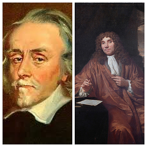 Siglo XVII: Harvey y Leewenhoek
