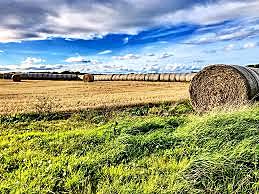 Agricultural society