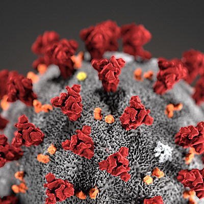 Timeline: cornavirus