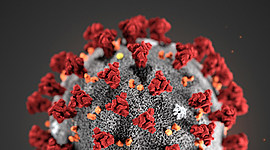 Timeline: coronavirus