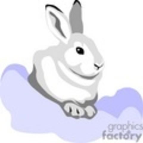 My first pet rabbit! <3 Russel