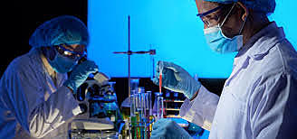 INVESTIGACIÓN SOBRE EL BROTEN SOBRE EL BROTE